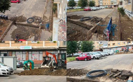 M. Zănoagă: "Siguranța oamenilor nu este opțională!"
