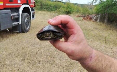 O viață salvată din calea flăcărilor