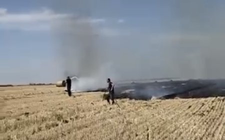 Incendiu pe câmp, la Ianova