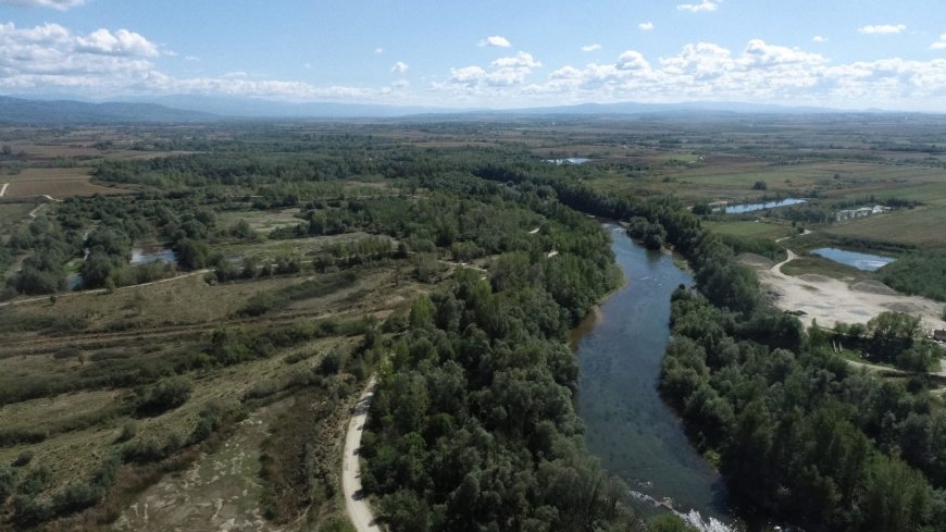 Județul Timiș devine regiune de replicare pentru soluțiile bazate pe natură