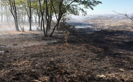 Weekend de foc pentru pompieri