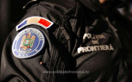 Țigări de contrabandă, confiscate la vamă