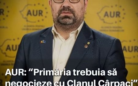 AUR e de partea clanurilor din Timișoara?