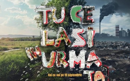 Șag se alătură celei mai mari acțiuni de curățenie din România