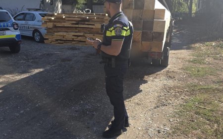 Stop ilegalităților în domeniul silvic