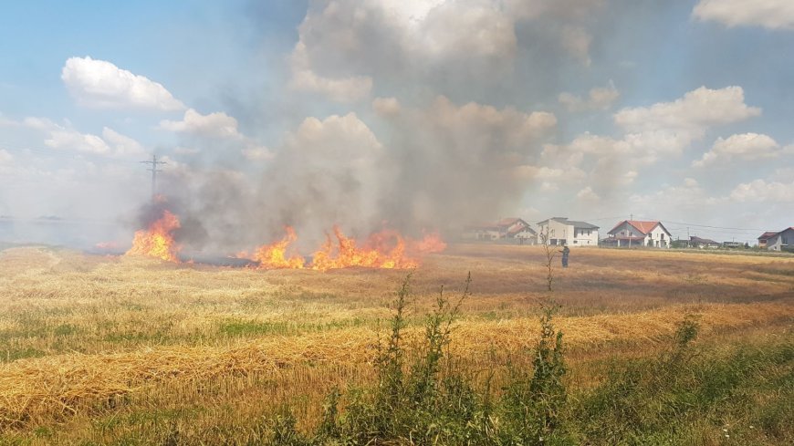 23 de incendii de vegetație în doar 48 de ore