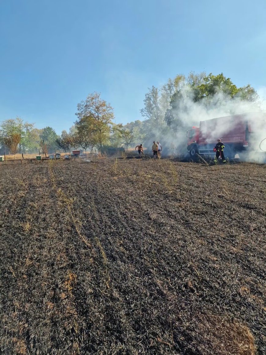 Incendiu la Sinersig!