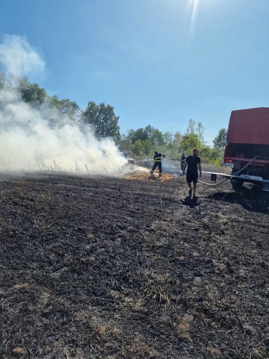 Incendiu la Sinersig!