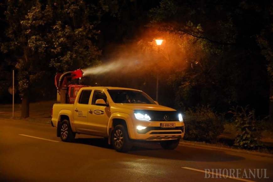 Dezinsecția terestră în Timișoara continuă
