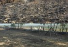 Luptă contra cronometru! 7 incendii în 24 de ore