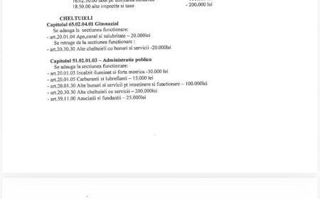 Biled își deblochează activitatea administrativă