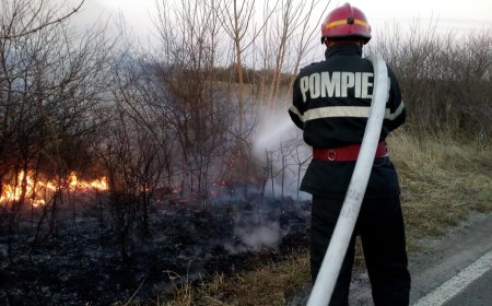 189 de misiuni ale pompierilor militari timișeni gestionate în ultimele 48 de ore