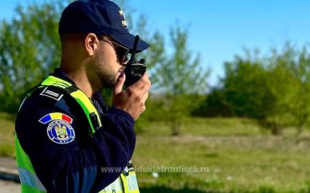 Ascuns în marfar, depistat la vamă