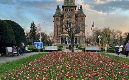 Sute de persoane vor beneficia de servicii educaționale