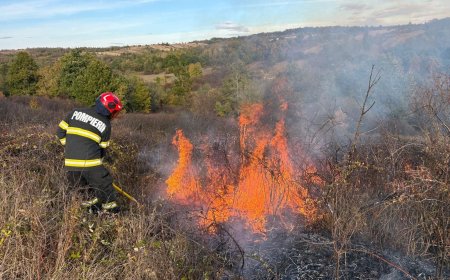 Peste 50 de hectare de teren, afectate de incendiile de vegetație din zona Lugoj și Făget
