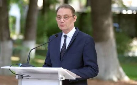 Guvernul Niculescu a trecut