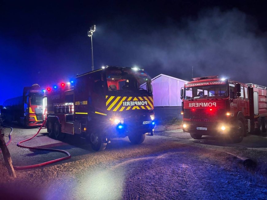 Incendiu la o hală de prelucrare a lemnului