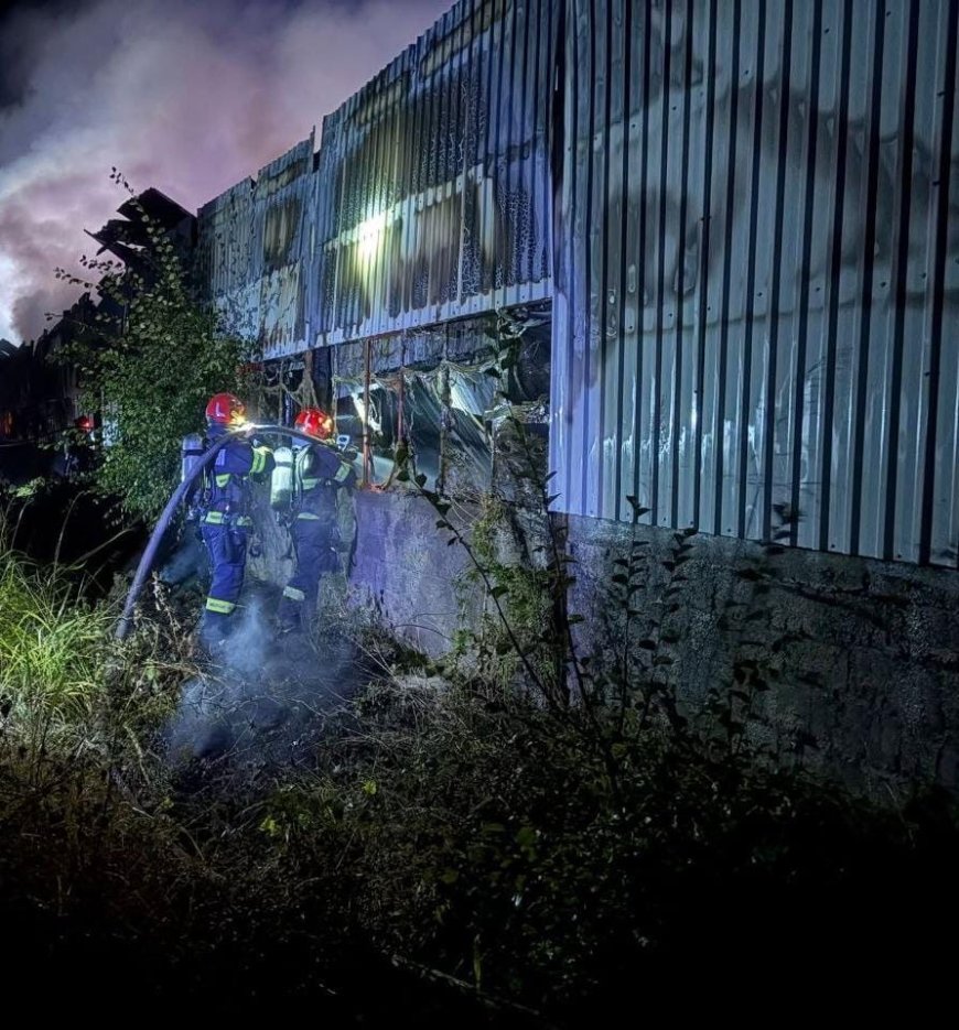 Incendiu la o hală de prelucrare a lemnului