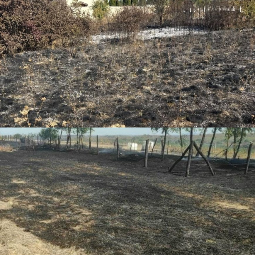 Luptă contra cronometru! 7 incendii în 24 de ore