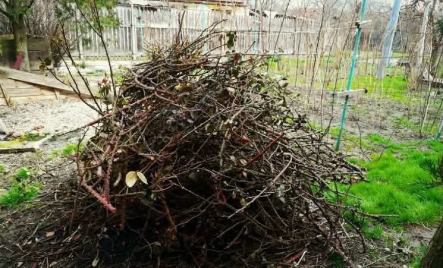 Campania de toamnă a colectării resturilor vegetale în Remetea Mare